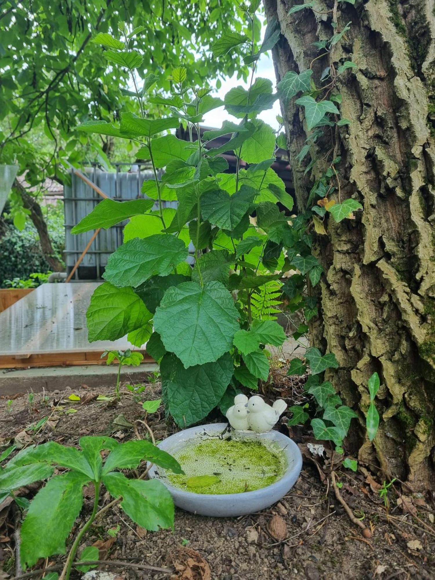 Appartement Na Tresnovce